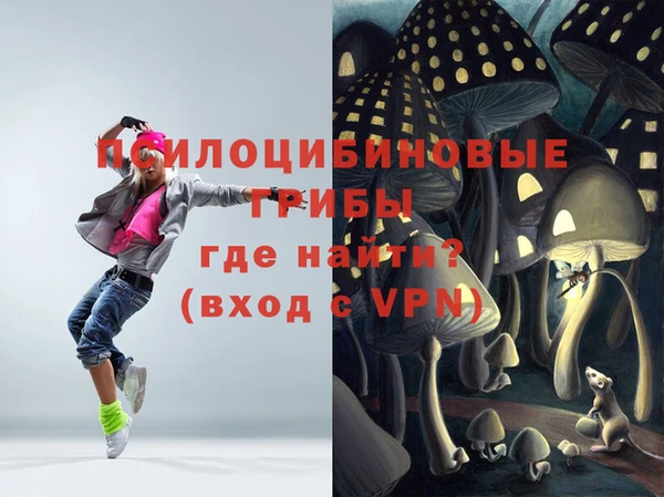 дмт Алексеевка