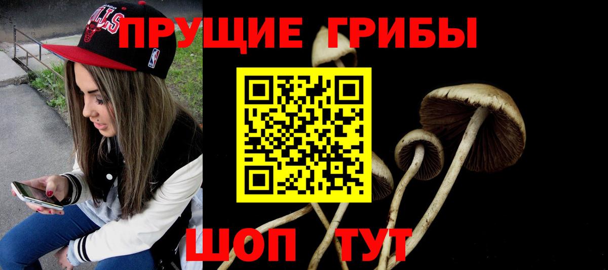 Псилоцибиновые грибы Cubensis  Вход с VPN  где продают   Уварово 